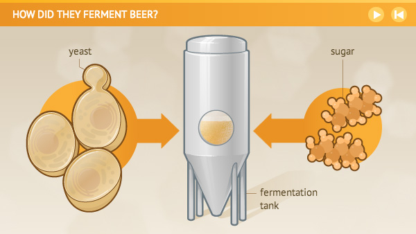 fermentation-03