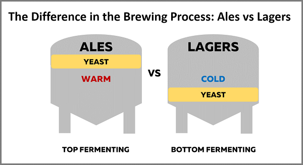 ales-vs-lagers-2